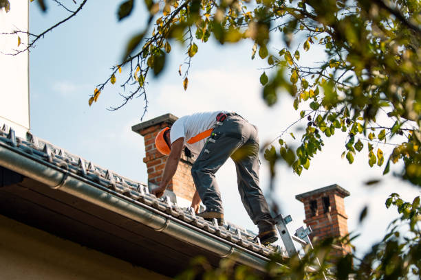 Best Local Roofing Companies  in Silver Firs, WA