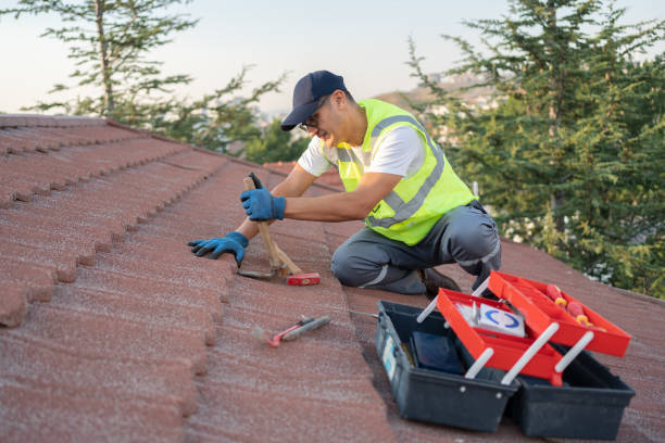 Best Metal Roofing Contractor  in Silver Firs, WA