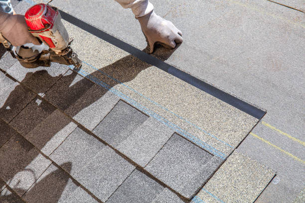 Best Roof Gutter Cleaning  in Silver Firs, WA